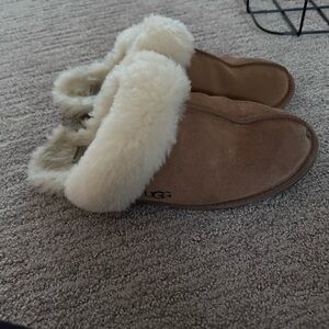 Ugg scuffette slippers